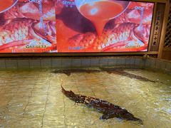 -胖姐渔村(中源大道店)