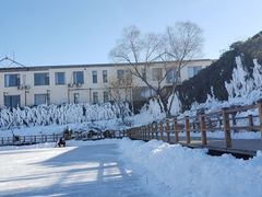 -北京鹿世界主题园