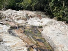 -海南霸王岭国家森林公园