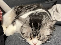 -新梅居(宁海东路店)