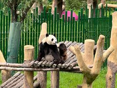 -沈阳森林动物园