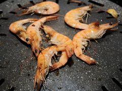 -33韩式自助烧烤(环城南路店)