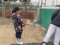 -喜杨洋草莓采摘园