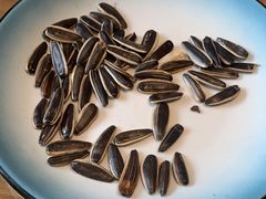 -严记小天府酸菜鱼(西四路店)