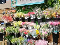 -盒马鲜生(双清路店)