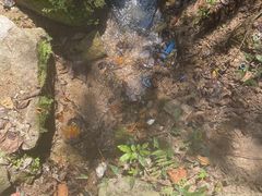 -双龙潭生态运动景区