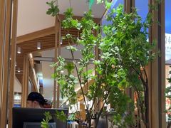 -马记永·兰州牛肉面(3019君尚店)