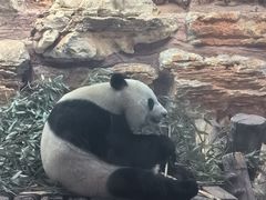 -石家庄市动物园