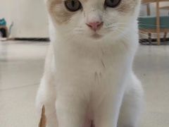 -藏猫猫咖啡主题馆(中央大道店)