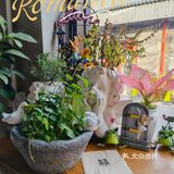 北京新店｜日咖夜酒，喝了就起飞：起飞咖啡小酒馆