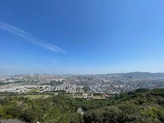 -灵岩山风景区