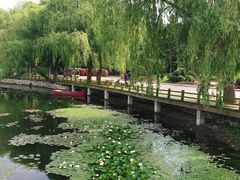 -长春市南湖公园