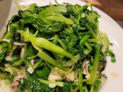-新吉士·上海菜(浦东LCM置汇旭辉店)
