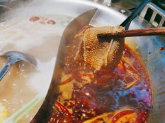 -辣伍鲜毛肚老火锅(元一店)