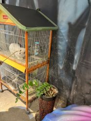 点击看大图 -酷嗒动物文化乐园(cutezoo西溪乐天城店)