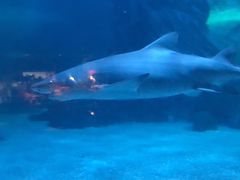 -常州海昌海洋探索馆