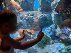 -海合安成都极地海洋公园