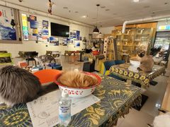 -平行世界·猫咖(首经贸店)