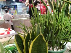 -蜀滋香鲜鱼美蛙火锅(339店)