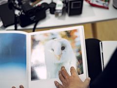 -隹木咖啡馆(宝龙广场店)