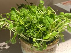 -牛村来人潮汕牛肉火锅(西单店)