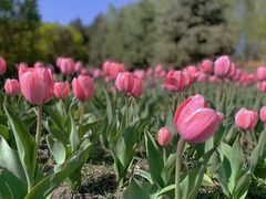 -长春公园(普阳街道)