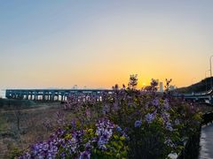 -银沙滩浴场
