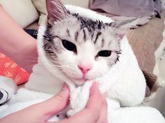 iphone_upload_pic-宠福鑫动物医院(立水桥分院)