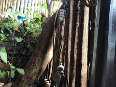 景观位-自然餐厅(Phuket)
