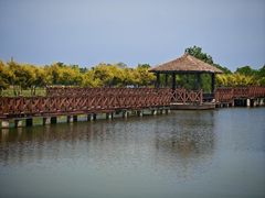 -漩门湾国家湿地公园