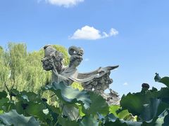 -石家庄市植物园