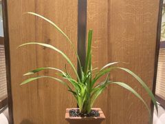 -南堂小馆·川菜馆(德商国际店)