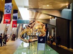 -墨尔本博物馆(Melbourne Museum)