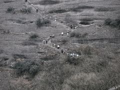 -剑门关风景区