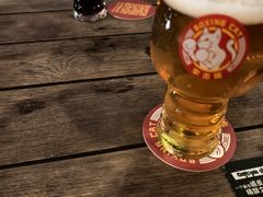 -Boxing Cat Brewery拳击猫精酿啤酒馆(永福店)