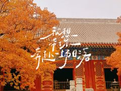 -香山公园