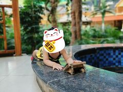 -沈阳龙润夏宫温泉水乐园