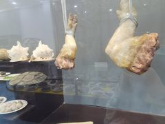 -游龙石文化科普馆