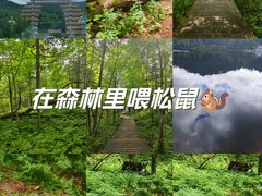 -五营国家森林公园