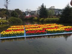 -白马涧龙池景区