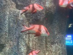-福州罗源湾海洋世界旅游区