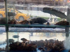 -海月湾海景餐厅( 嵊泗本地老字号店)
