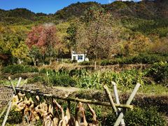 -塔川景区