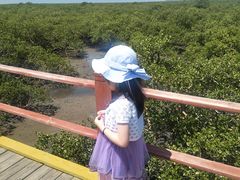 -北海金海湾红树林生态旅游区