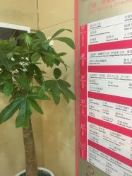 -重庆五洲医院·妇幼保健