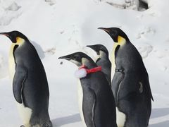 -大连老虎滩海洋公园