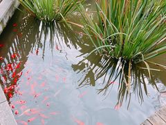 -聚缘堂·海鲜私房菜(松岭路店)