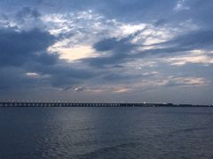 -宝安西湾红树林湿地公园