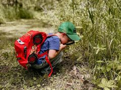 -铁山坪森林公园