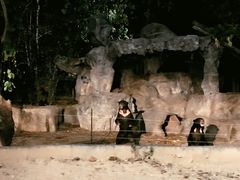 -清迈夜间动物园